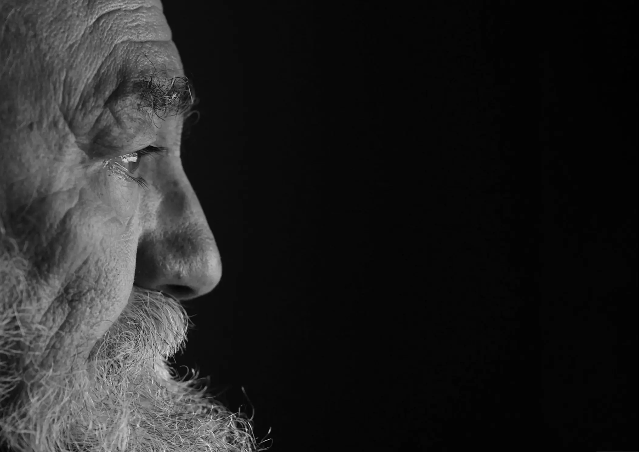 HIJO DE SU PADRE - Image 7