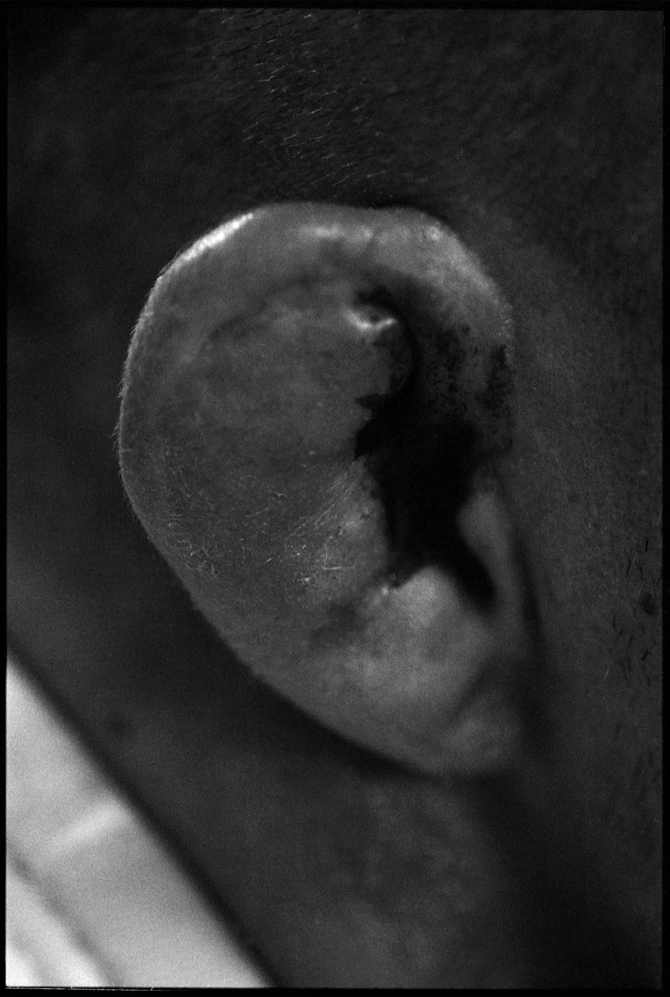 ON THE MAT - Image 9