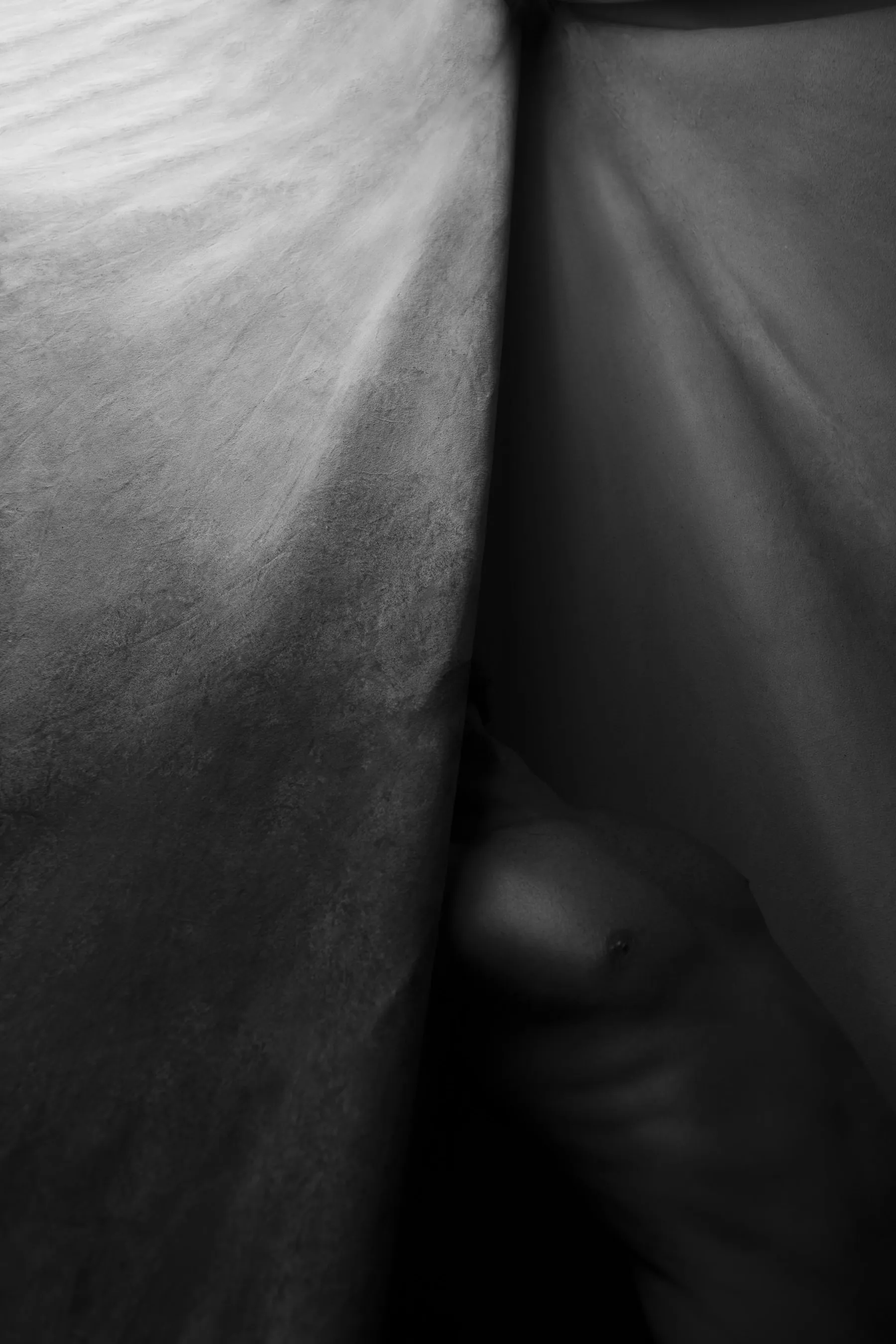 Absordo documentation
