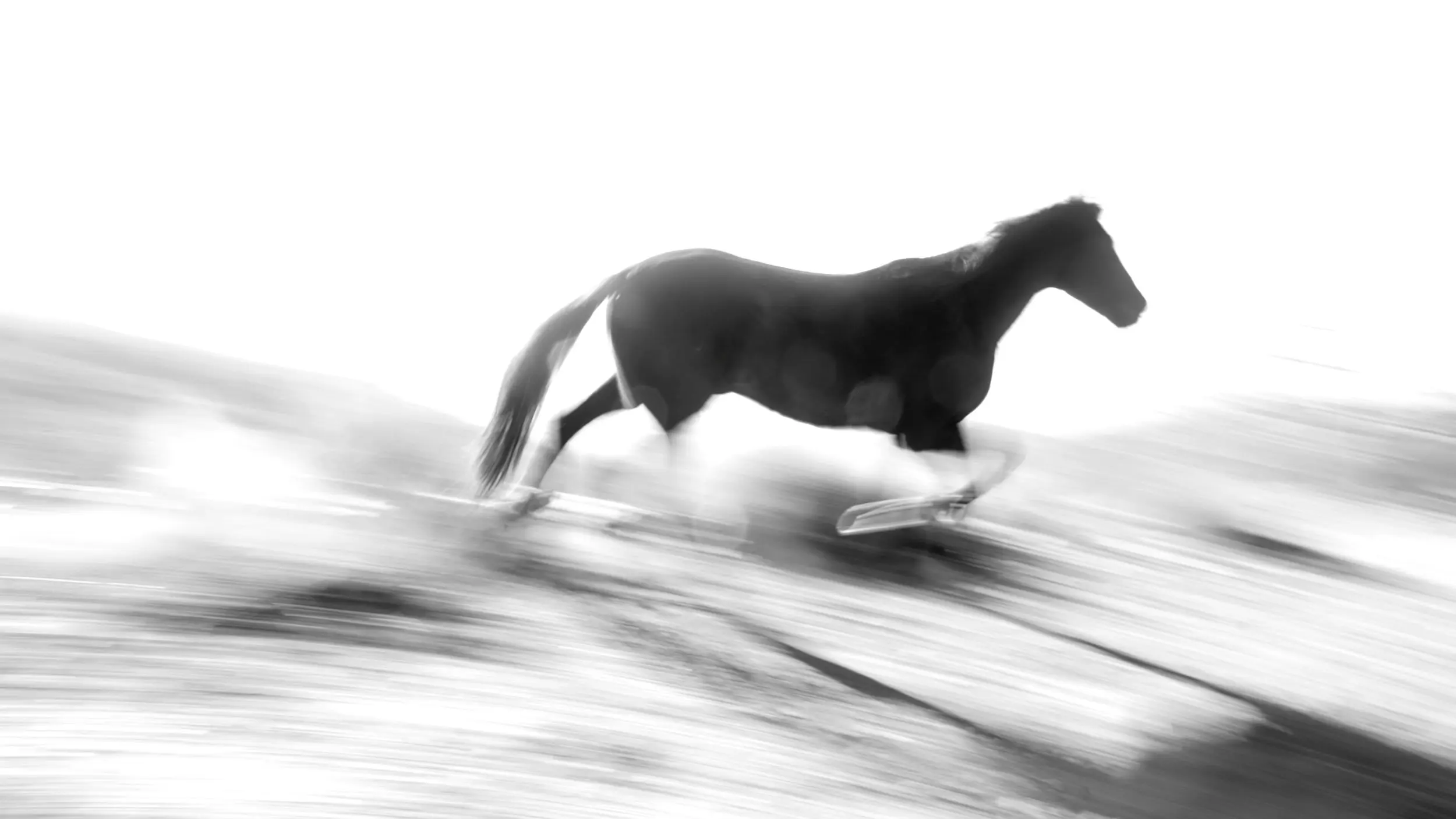 Jonathan Matthey - Runaway, 2024